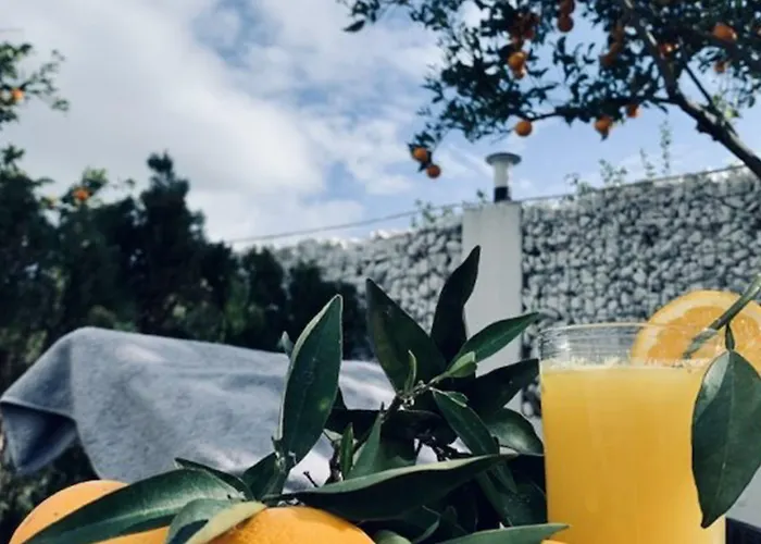 Mira Palace & 시데